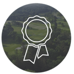 icons3-06